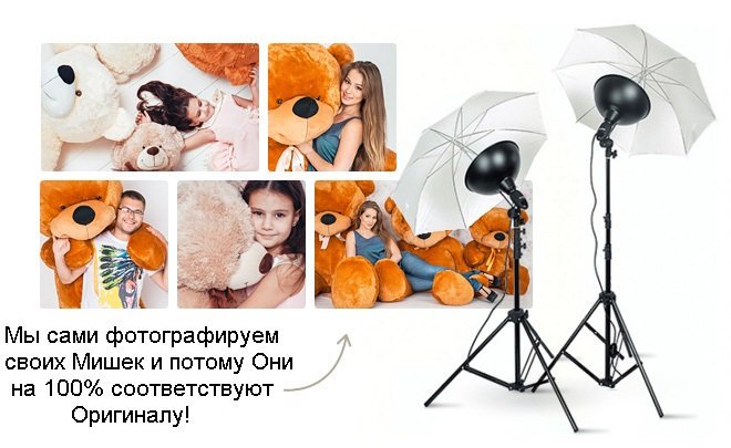 Реальные фото моделей медведей